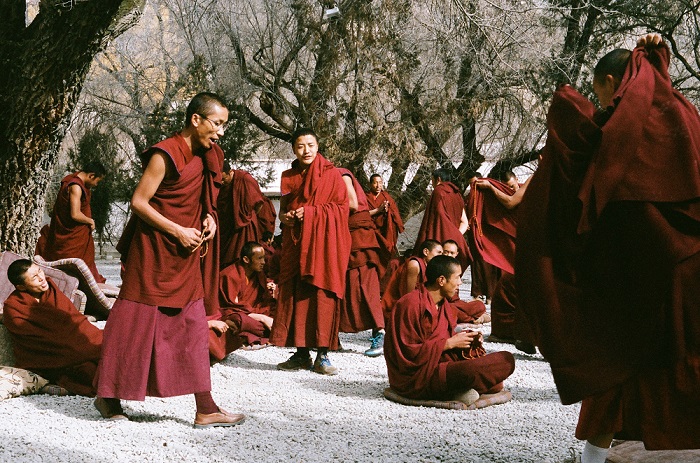 Buddhist Monks Besides Green Trees